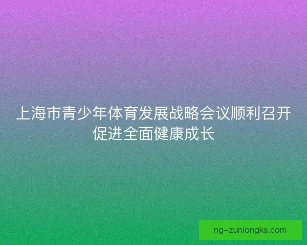 上海市青少年体育发展战略会议顺利召开促进全面健康成长